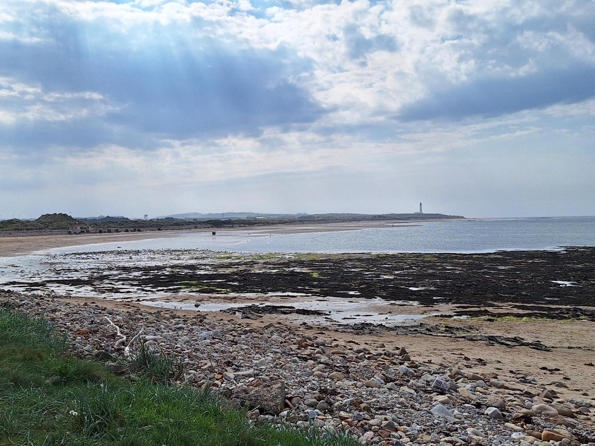 1 Fulmar Road**Next To West Beach And Golf Course Lossiemouth Exterior foto